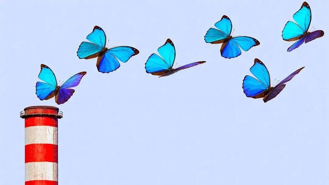 E1E7665AD1351E85D81471B57B4_A314D832_1174B