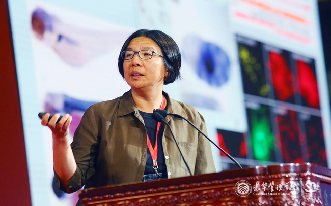 MG电子游戏(中国集团)官方网站