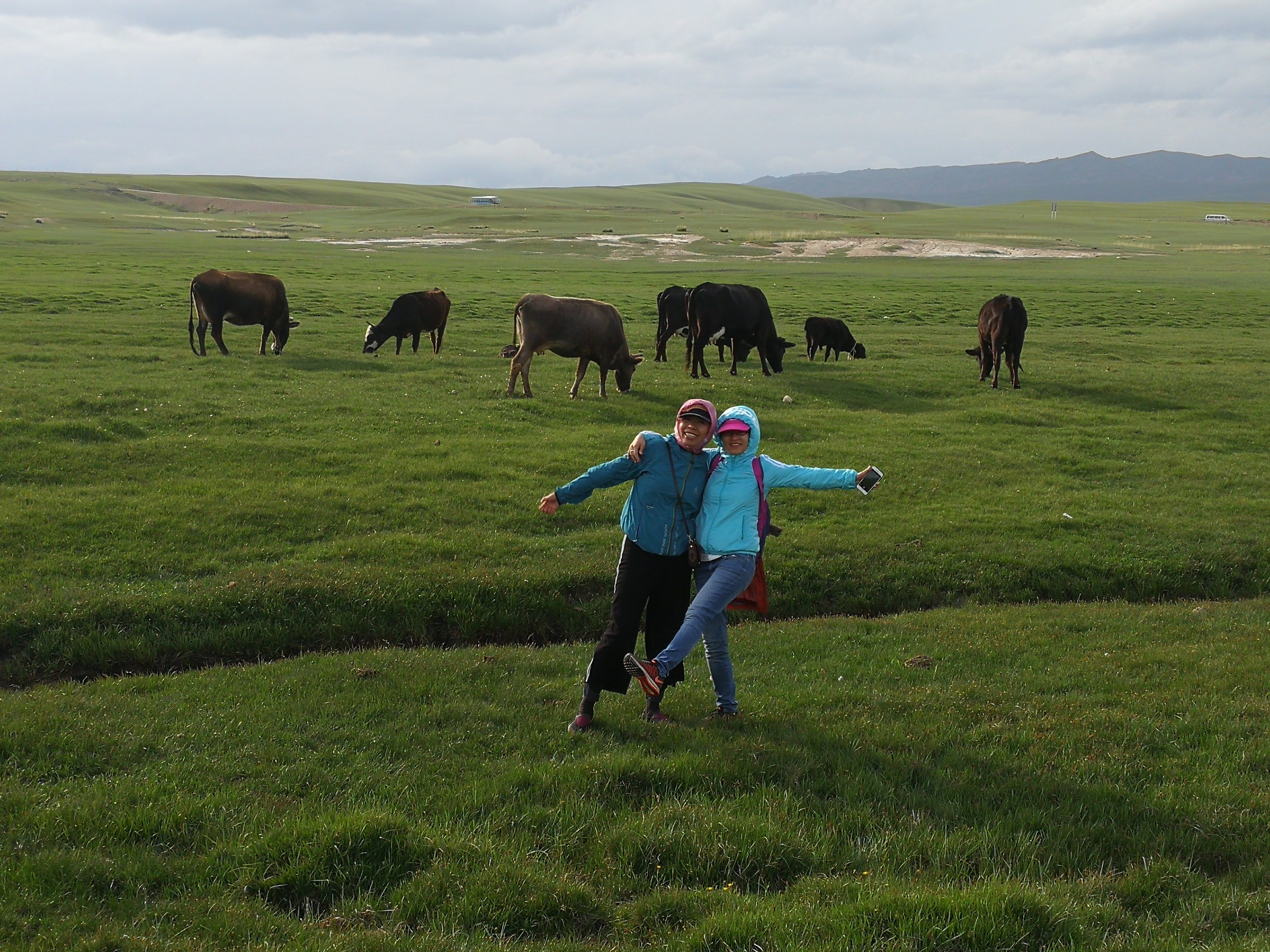 MG电子游戏(中国集团)官方网站