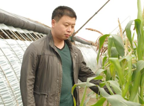 MG电子游戏(中国集团)官方网站