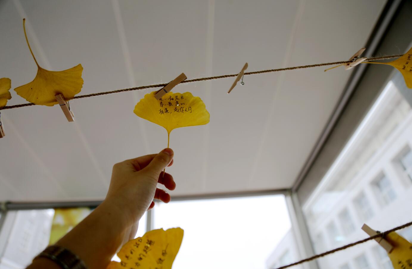 MG电子游戏(中国集团)官方网站