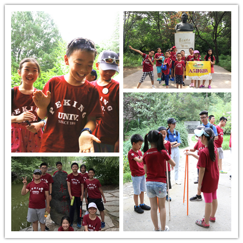 MG电子游戏(中国集团)官方网站