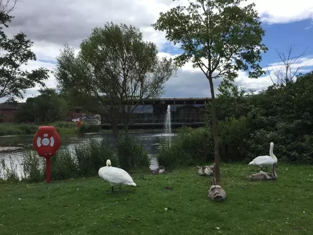 MG电子游戏(中国集团)官方网站