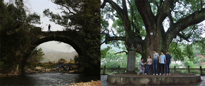 MG电子游戏(中国集团)官方网站