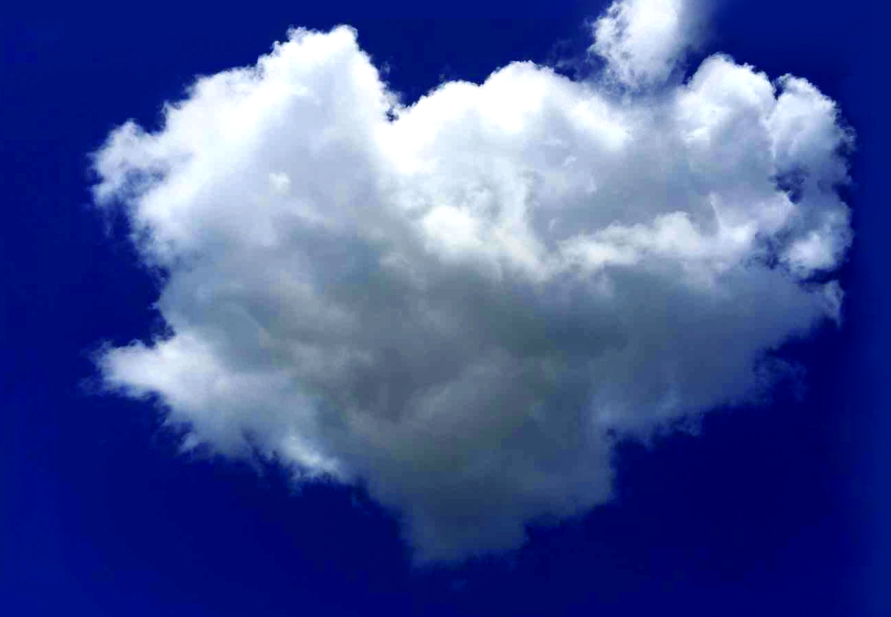 MG电子游戏(中国集团)官方网站