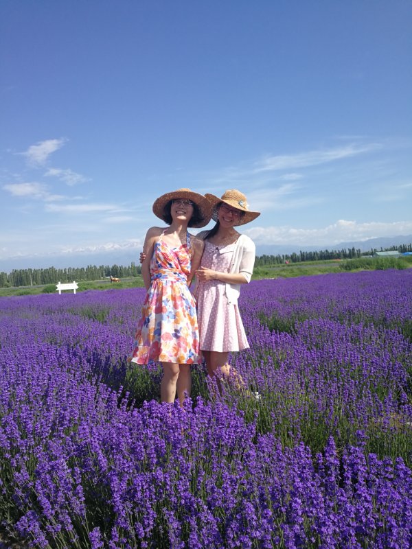 MG电子游戏(中国集团)官方网站