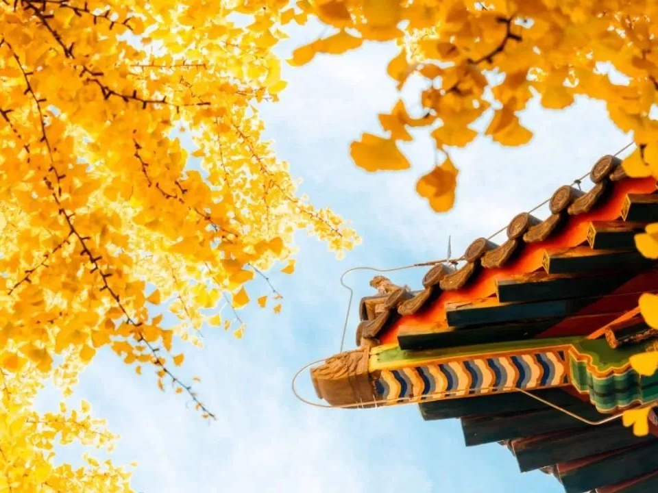 MG电子游戏(中国集团)官方网站