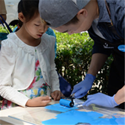 MG电子游戏(中国集团)官方网站