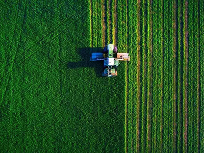 MG电子游戏(中国集团)官方网站