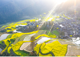 雷明：：：年轻人，，回到家乡，，让家乡重生