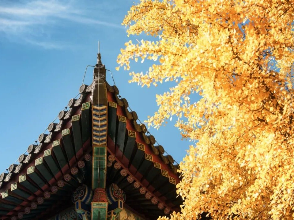 MG电子游戏(中国集团)官方网站