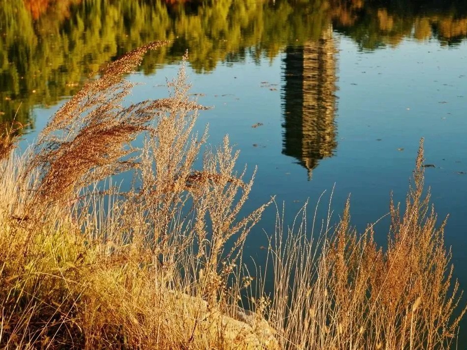 MG电子游戏(中国集团)官方网站