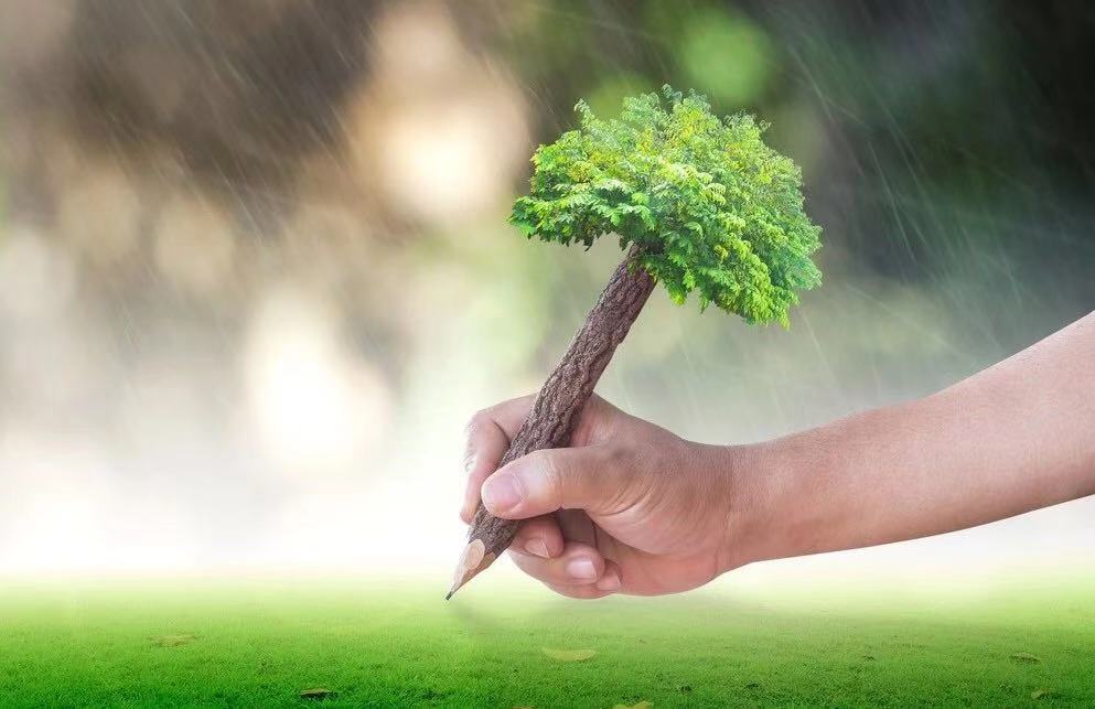 MG电子游戏(中国集团)官方网站