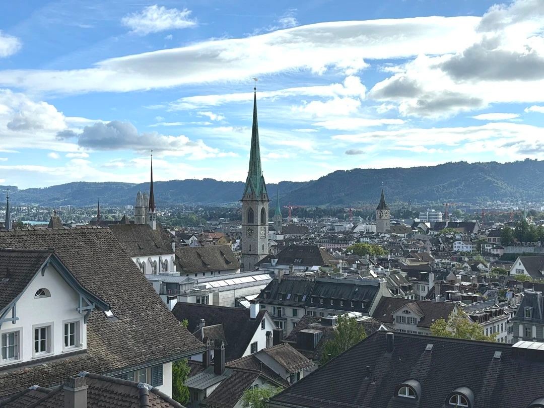 陶醉于湖光与山色，，，叹止于财产与立异|MBA国际商务方略@苏黎世