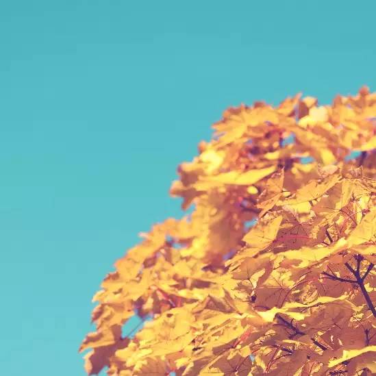 MG电子游戏(中国集团)官方网站