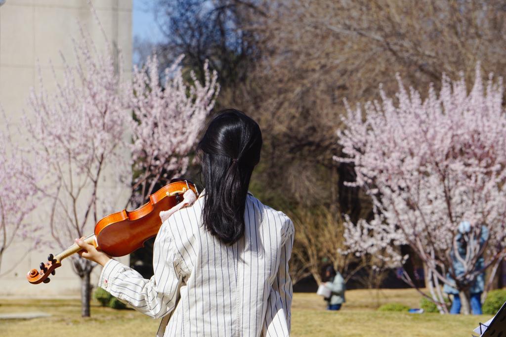 MG电子游戏(中国集团)官方网站