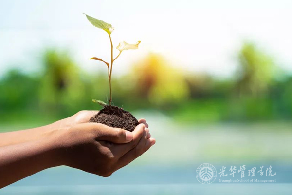 MG电子游戏(中国集团)官方网站