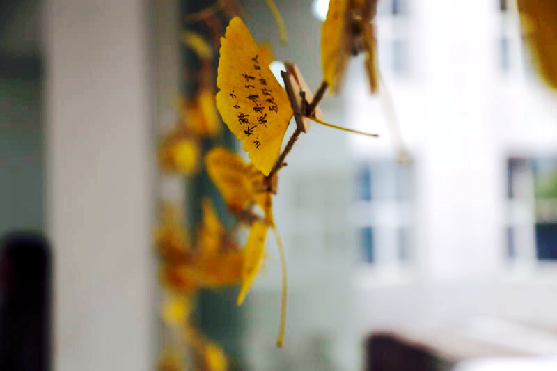 MG电子游戏(中国集团)官方网站