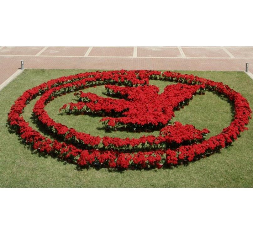 MG电子游戏(中国集团)官方网站