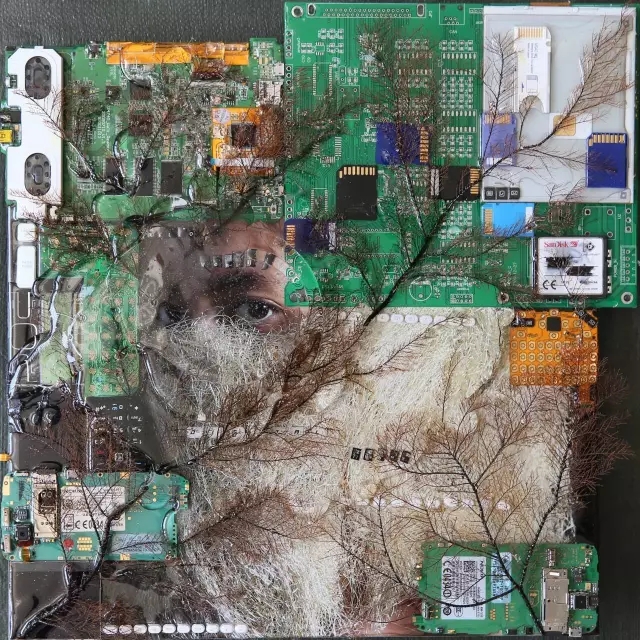 MG电子游戏(中国集团)官方网站