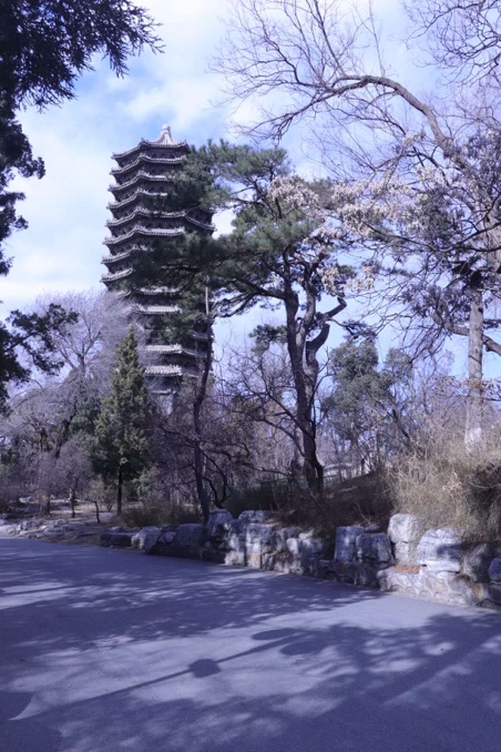 MG电子游戏(中国集团)官方网站