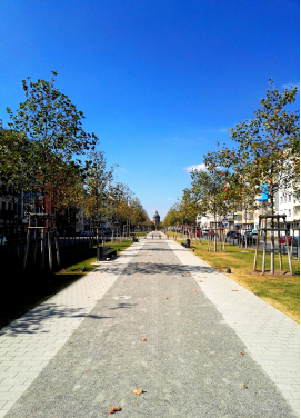 A15773AF553B1FC6B54CA33B864_276F35CE_63C89