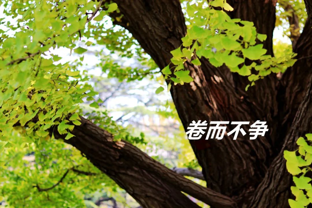 MG电子游戏(中国集团)官方网站