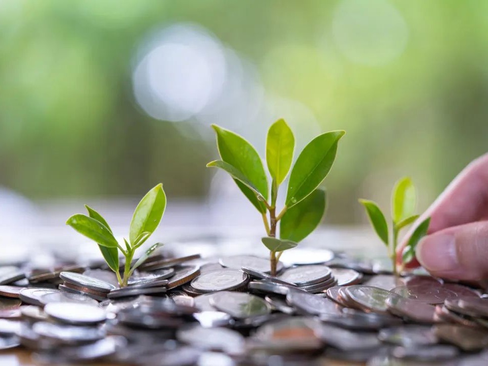 MG电子游戏(中国集团)官方网站