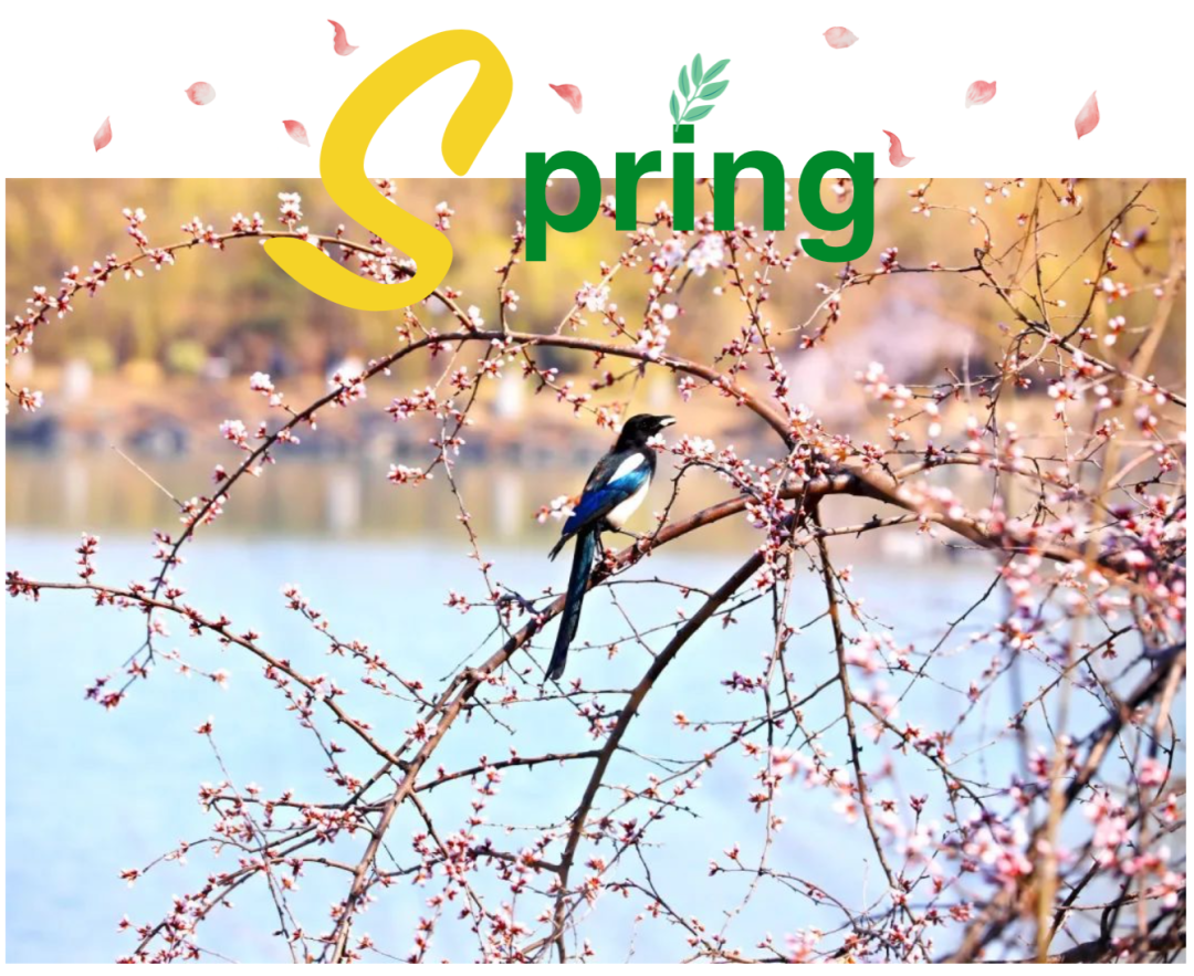 北大春日限制！带你一起寻找“因、思、想、而、光、华！”