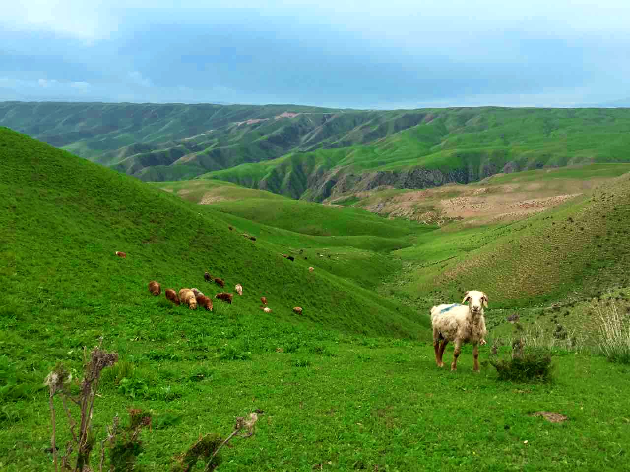 MG电子游戏(中国集团)官方网站