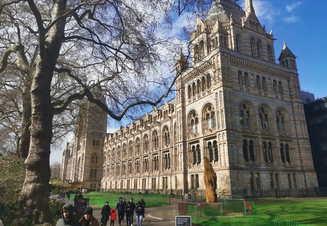 MG电子游戏(中国集团)官方网站