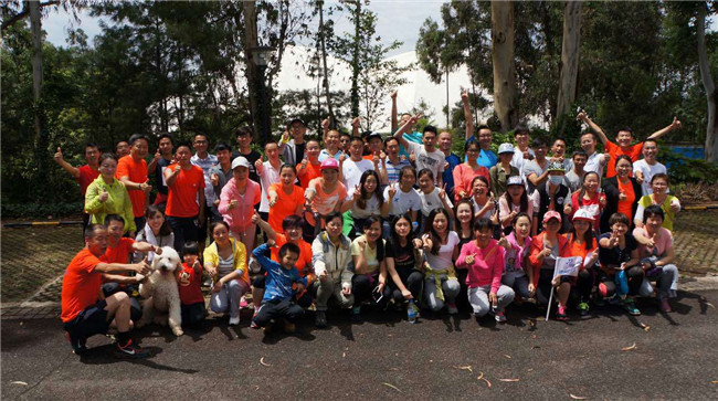 MG电子游戏(中国集团)官方网站