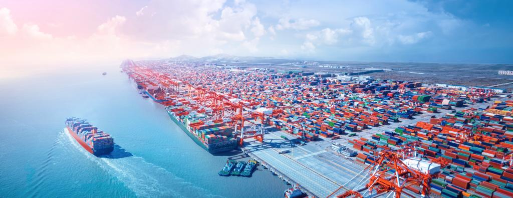 唐 遥：：全球供应链和价值链会疫后重组吗？