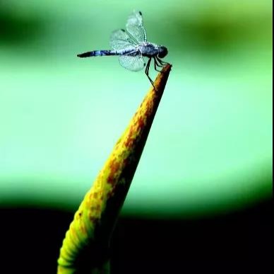 MG电子游戏(中国集团)官方网站