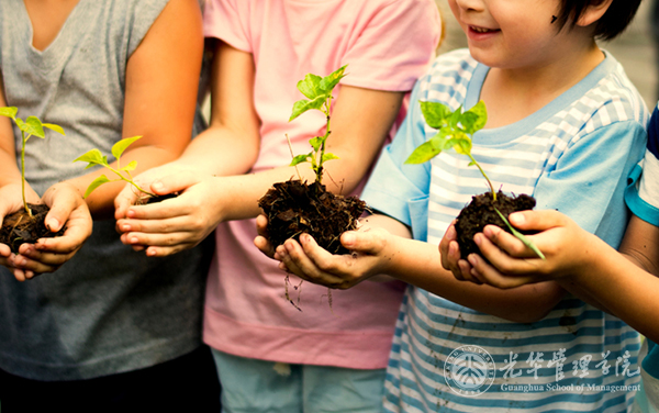 MG电子游戏(中国集团)官方网站