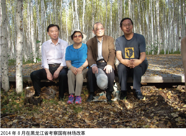 MG电子游戏(中国集团)官方网站