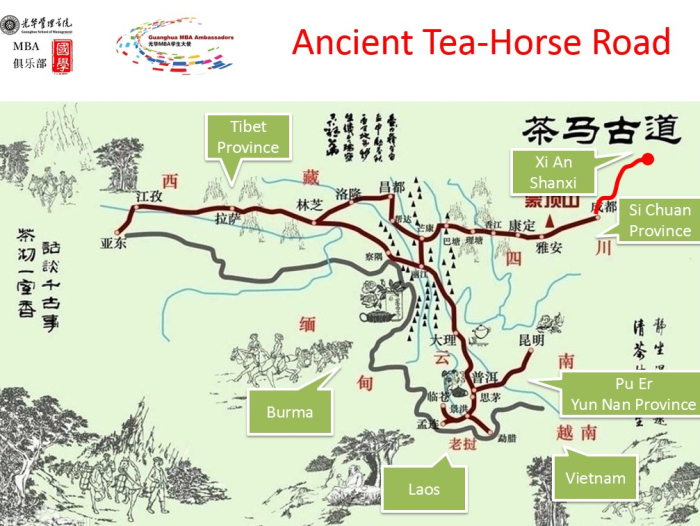 MG电子游戏(中国集团)官方网站