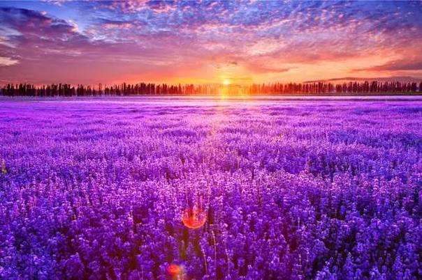 MG电子游戏(中国集团)官方网站