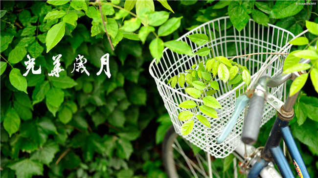 MG电子游戏(中国集团)官方网站