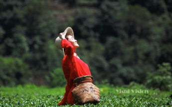 MG电子游戏(中国集团)官方网站