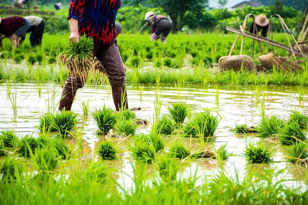 陈玉宇：：：被总理“点名”的6亿人在哪儿？