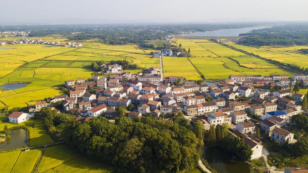 8B42BAB9EA66068013364BF04EA_89042AB0_23D5F.jpeg?e=