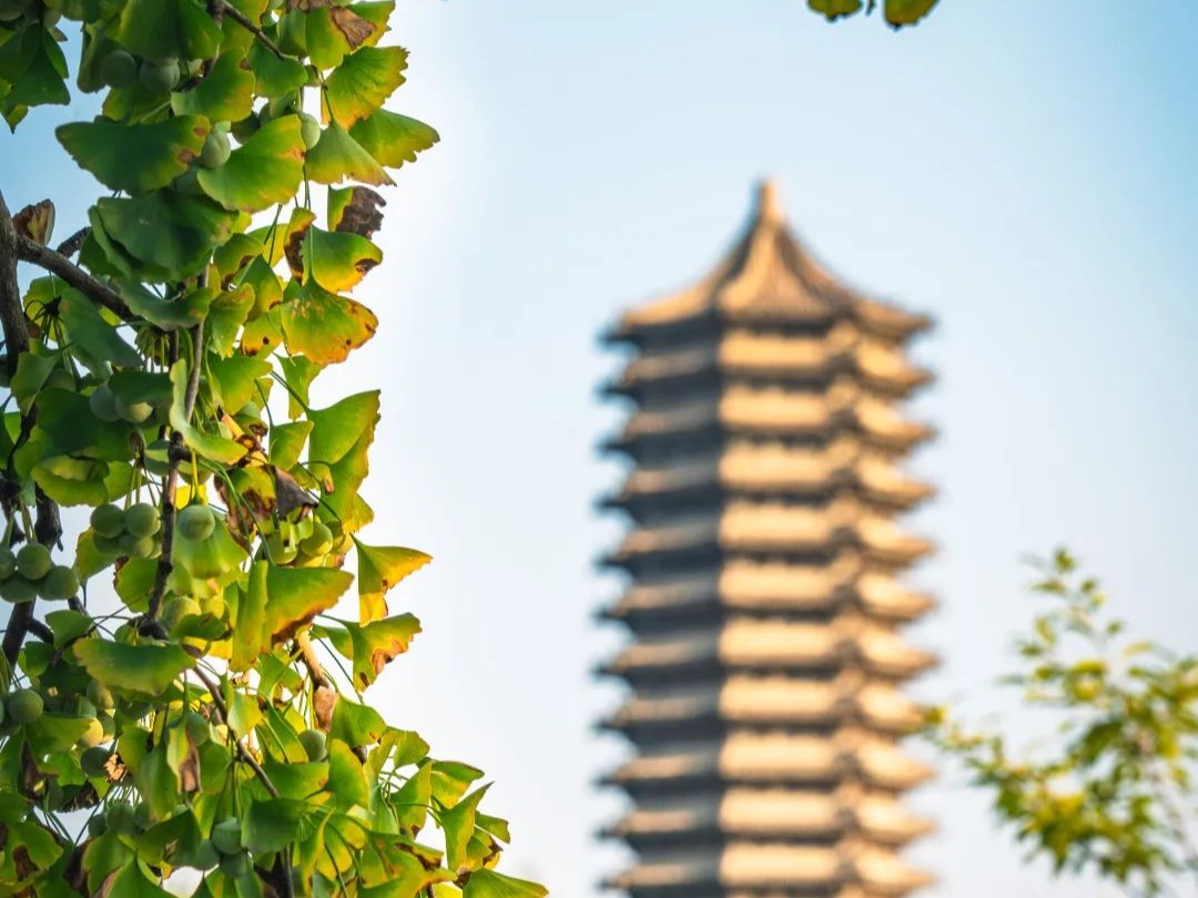 MG电子游戏(中国集团)官方网站