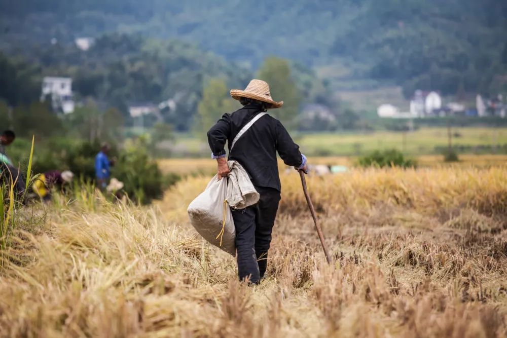 雷 明：人类历史上最伟大的故事之一，我们该怎样讲述？？
