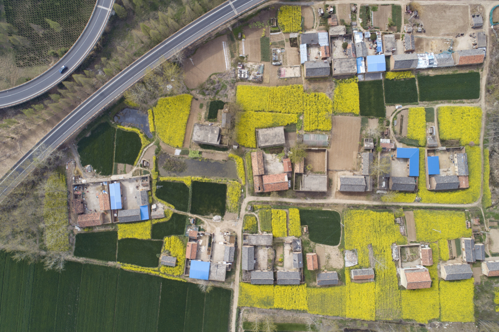 MG电子游戏(中国集团)官方网站