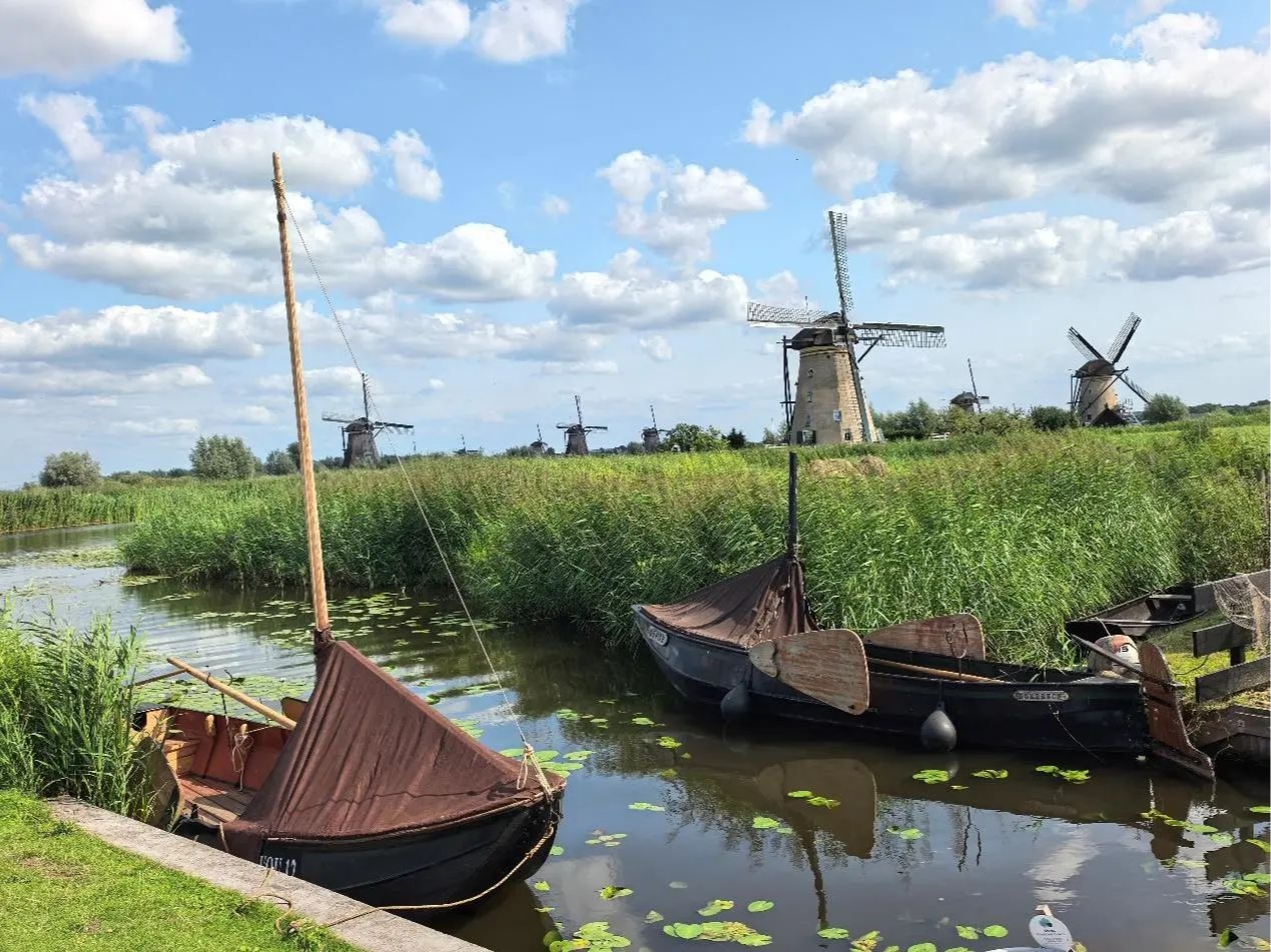 MG电子游戏(中国集团)官方网站