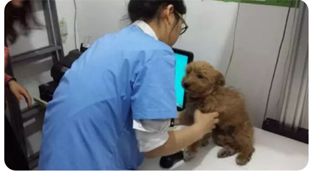 MG电子游戏(中国集团)官方网站