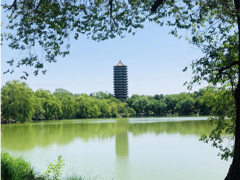 精彩回首 | 【头脑汇·行动派】职业分享会