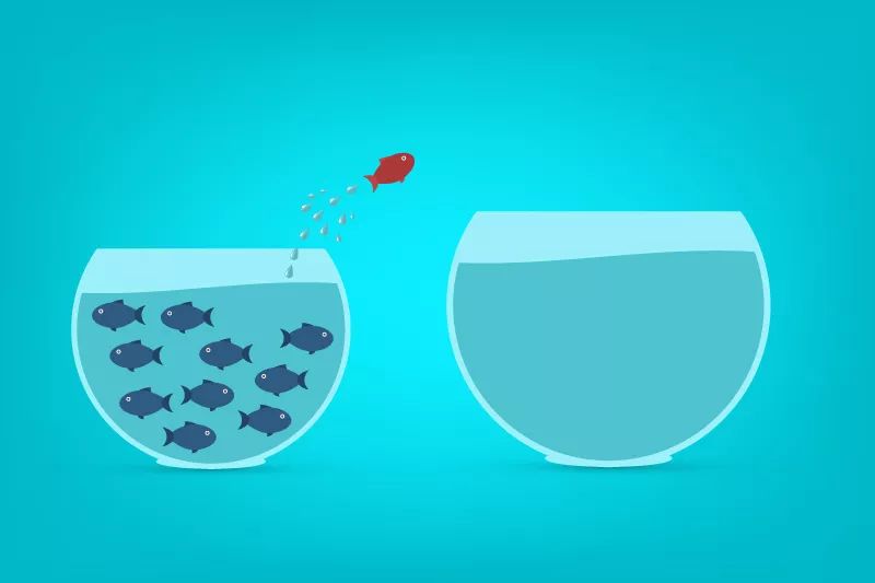 MG电子游戏(中国集团)官方网站